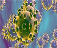 «استشاري مناعة» يُحذرمن ارتفاع معدلات الإصابة بالموجة الرابعة بين الأطفال