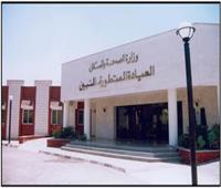 بعد تطويرها.. مستشفى التبين المركزي يجري ١٥عملية جراحية يوميا 