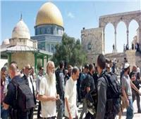 بحراسة شرطة الاحتلال.. 81 مستوطنًا إسرائيليًا يقتحمون المسجد الأقصى