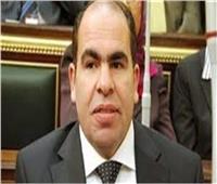«استئناف القاهرة» تقضي بإلغاء قرار رئيس الوفد بفصل «الهضيبي»