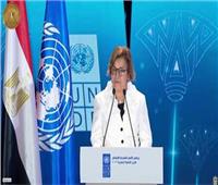 ممثل برنامج الأمم المتحدة: للمصريين «أحسنتم بالمحافظة على الأمن والاستقرار»
