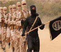 الاستخبارات الأمريكية تتوقع عودة تنظيم القاعدة من «الشتات» خلال عام