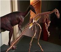 علماء يتوصلون لسر اختفاء الديناصورات
