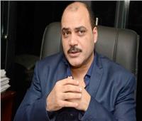 الباز: مصر حققت المستهدف من بيان مجلس الأمن بشأن سد النهضة |فيديو