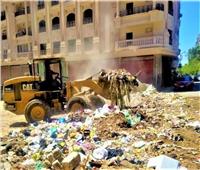 حملة مكبرة لرفع القمامة من الشوارع والطرق بمدينة المنصورة والقرى التابعة لها