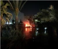 حريق في بعض الأشجار على ضفة نهر النيل بالمنيل