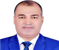 حسين عبد الباسط عميدًا لتجارة جنوب الوادي