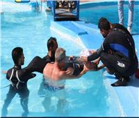 في شرم الشيخ.. علاج طفل صربي يعاني من التوحد بـ«السباحة مع الدولفين»