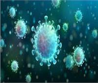 فئة من البشر غير معرضة لخطر الإصابة بكورونا..«عالم فيروسات» يوضح