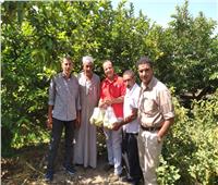 «رصد بقايا المبيدات».. جهود «الزراعة» للحفاظ على صحة المصريين 