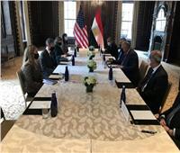 الخارجية الأمريكية: شكري وبلينكن اتفقا على أهمية المفاوضات بأزمة سد النهضة