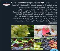 السفارة الأمريكية بالقاهرة تشيد بجودة العنب المصري  