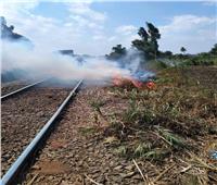 السيطرة على حريق  بجوار شريط السكة الحديد بقرية الحامول بالمنوفية