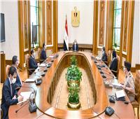 الرئيس السيسي يتابع تطورات مشروعات قطاع الصناعات البترولية