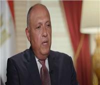 شكري: الرئيس السيسي طرح رؤية مصر أمام الجمعية العامة حول التعاون الدولي