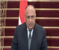 «شكري» يؤكد تقدير مصر لجهود أمين عام الأمم المتحدة في حفظ السلم والأمن