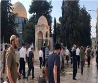 وزير الأوقاف الأردني يحذر من تمكين اليهود من ممارسة اقتحامات للمسجد الأقصى