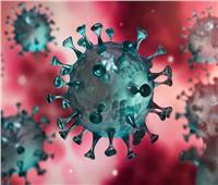 «البحوث»: أجرينا 5 استطلاعات خلال الجائحة ساهمت فى السيطرة على الفيروس
