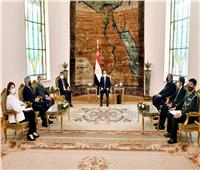 متحدث الرئاسة: تعزيز التعاون بين مصر والبرازيل في مختلف المجالات