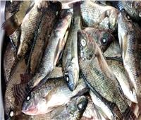 أسعار الأسماك في سوق العبور الأربعاء 29 سبتمبر 