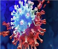 مفاجأة .. فيروس كورونا يصيب البشر منذ 56 عاما |فيديو 