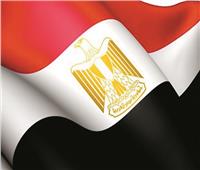الشركات الوطنية سفراء لمصر في القارة السمراء