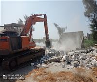 إزالة 17 حالة تعدي على مصرف «بحر البقر» جنوب بورسعيد| صور