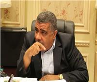 معتز محمود رئيسا للجنة الصناعة بالبرلمان 
