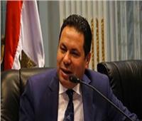 «هشام الحصري» رئيسا للجنة الزراعة بالبرلمان 
