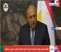 وزير الخارجية: مصر حريصة على إنهاء الأزمة السورية