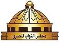 برلماني: الجيش المصرى خاض ملحمة وطنية بحرب أكتوبر المجيدة ‎‎