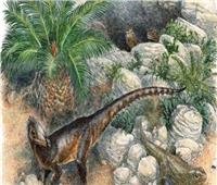 اكتشاف ديناصور «قزم» بحجم دجاجة وذيله بطول متر