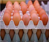 رئيس شعبة بيض المائدة يكشف عن أسباب ارتفاع أسعارها