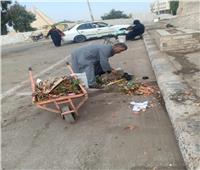 رفع 50 طن مخلفات وقمامة من قرى المنيا
