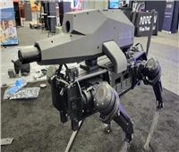 كلب يحمل «مدفع» .. سلاح من أفلام الخيال العلمي ينضم قريبا للجيش الأمريكي