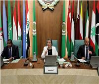 ياسمين فؤاد: ضرورة توجه الوطن العربي نحو الاقتصاد الأخضر