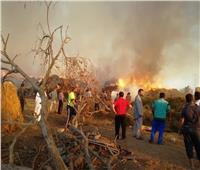 «الحماية المدنية» تسيطر على حريق نشب بموقع «قش الأرز» بالدقهلية | صور