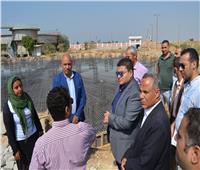 نائب محافظ بني سويف يتابع تنفيذ مشروعات «حياة كريمة» بمركز ناصر