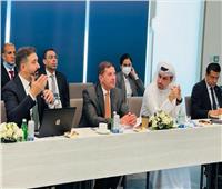 رئيس هيئة الاستثمار يبحث مع الشركات الإماراتية تنفيذ استثمارات جديدة في مصر