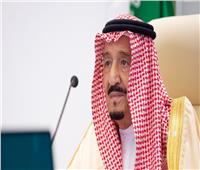 العاهل السعودي يرأس وفد بلاده في قمة قادة مجموعة العشرين