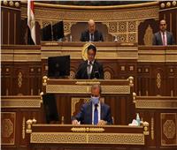 برلمانى: قانون النفاذ يحافظ على حقوق مصر فى مواردها الاحيائية ‎‎    