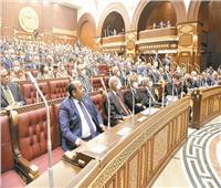 التشريع يكفل حقوق مصر فى مواردها واستدامة استخداماتها