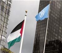 بعثتا فلسطين في جنيف وبيرن توجهان رسائل لمنظمات دولية حول تصاعد الانتهاكات الإسرائيلية