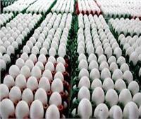 الطب البيطرى بالقليوبية: تطوير مزرعة الـ30 مليون بيضة بالخانكة.. فيديو 