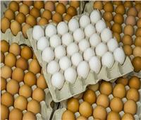 وزارة التموين: ضخ 6500 كرتونة بيض فى المجمعات الاستهلاكية بتخفيضات 20%