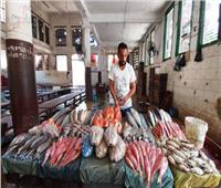 محافظ الإسكندرية: كل الصيادين سيكون لهم محلات بحلقة سمك الأنفوشي 