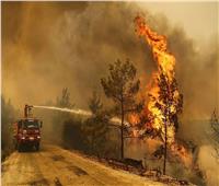 النمسا: وضع حرائق الغابات بمدينة هيرشوانج مقلق