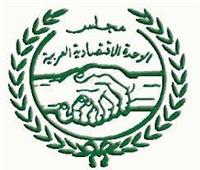 عشماوى عضوا بالهيئة الاستشارية العليا بمجلس الوحدة الاقتصادية العربية  