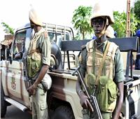  مقتل 7 جنود خلال هجومين على دوريتين عسكريتين في مالي