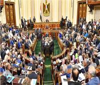 ‏نواب البرلمان يطالبون بسحب الجنسية المصرية من أحمد مجاهد